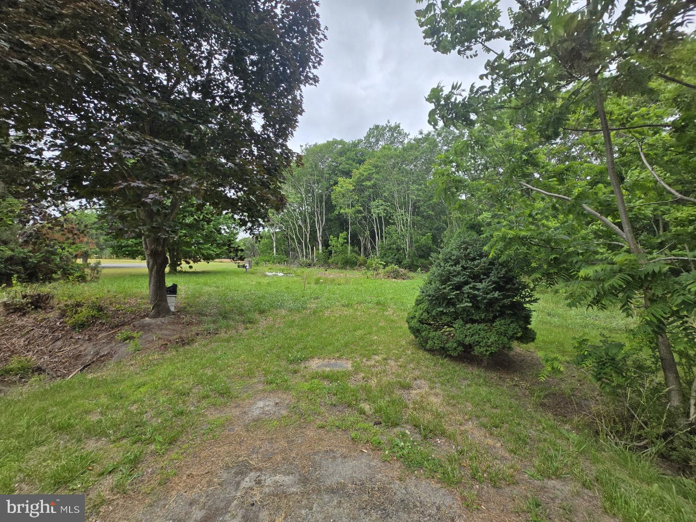 32298 Powell Farm Road Frankford, DE 19945 - Photo 1 of 4