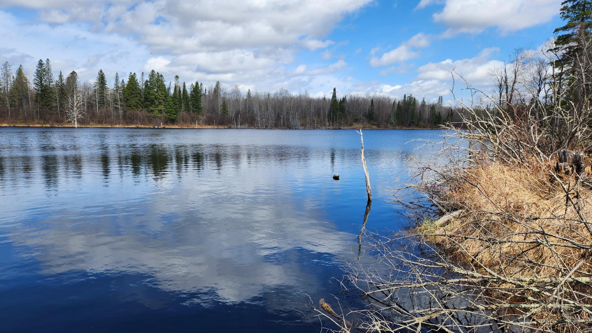 Off Hay Creek Road, Unit 820ACRES Prentice, WI 54556 - Photo 32 of 43 Gallery Image 32