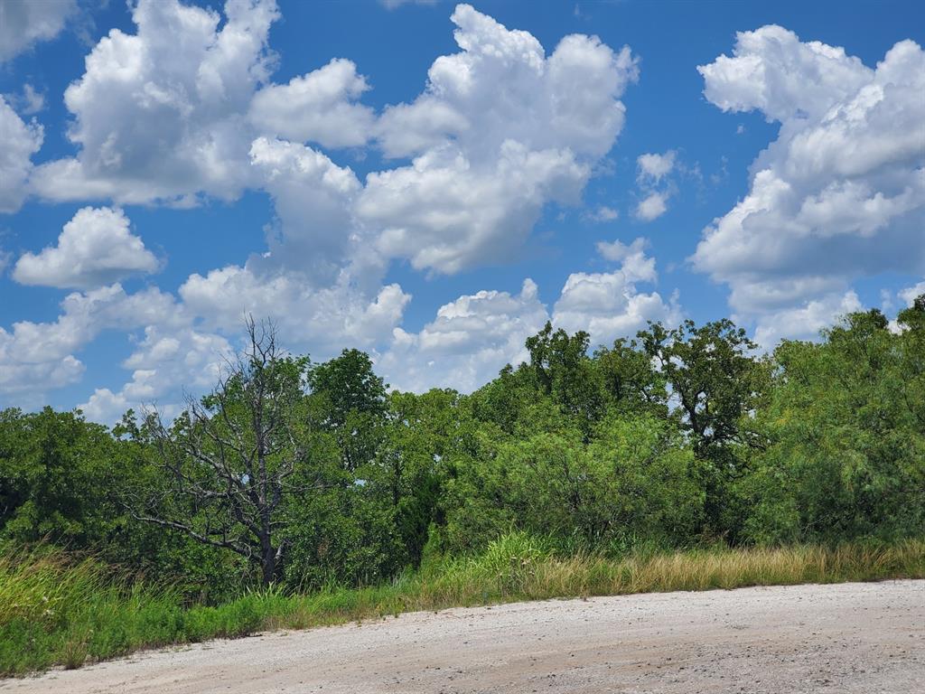 411 Mountainview Court Sunset, TX 76270 - Photo 11 of 35