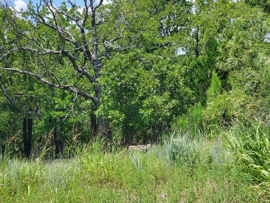 411 Mountainview Court Sunset, TX 76270 - Photo 12 of 35