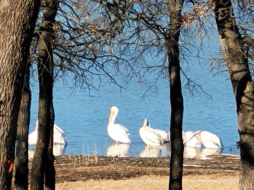 411 Mountainview Court Sunset, TX 76270 - Photo 12 of 25