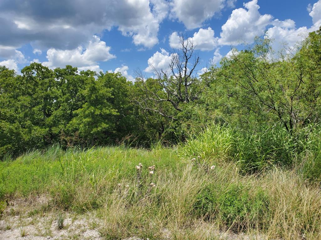 411 Mountainview Court Sunset, TX 76270 - Photo 3 of 25