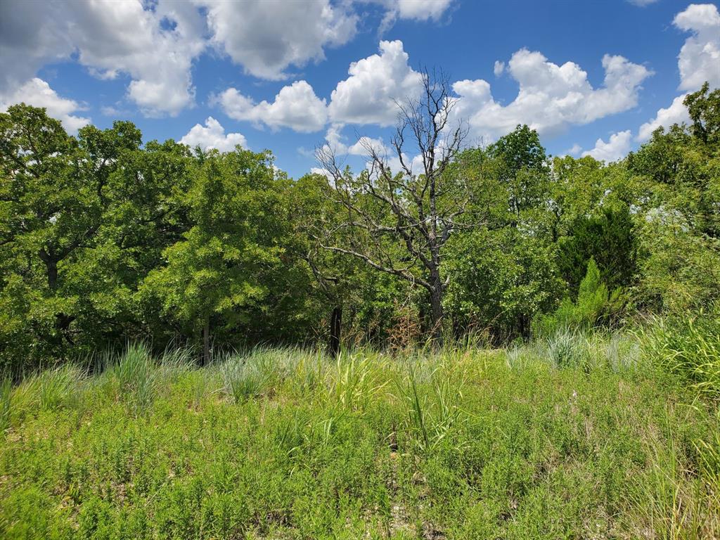 411 Mountainview Court Sunset, TX 76270 - Photo 4 of 25