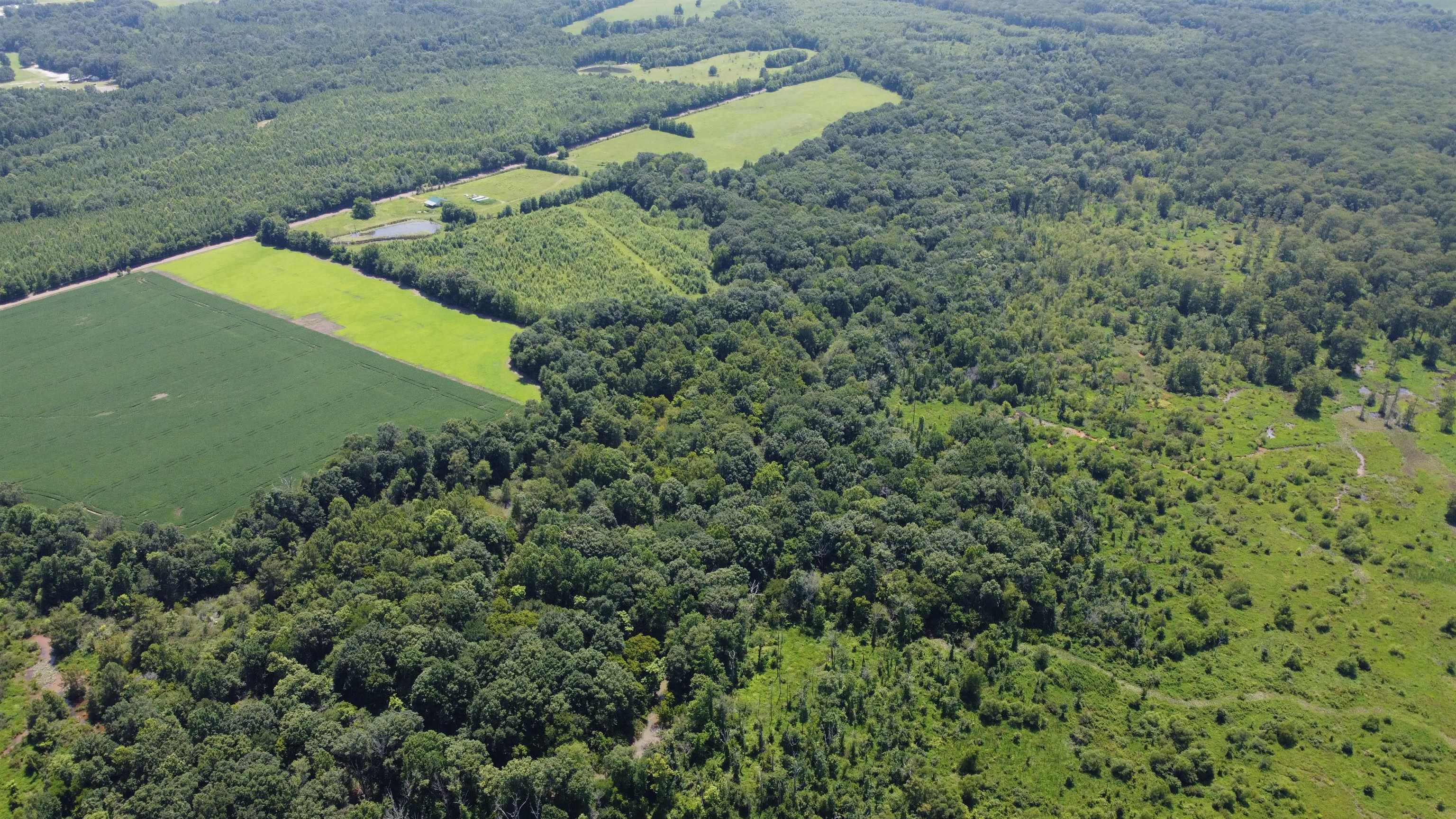 20-acres Liberty Road Moscow, TN 38057 - Photo 6 of 9