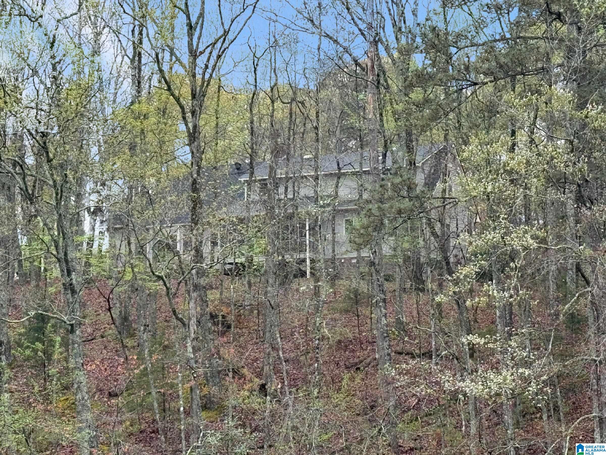 111 Redbud Road Columbiana, AL 35051 - Photo 47 of 49