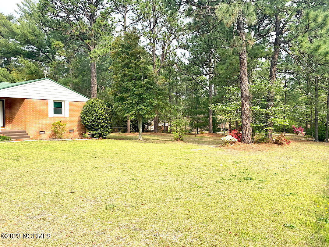 103 Pee Dee Road Aberdeen, NC 28315 - Photo 11 of 14 Side Yard
