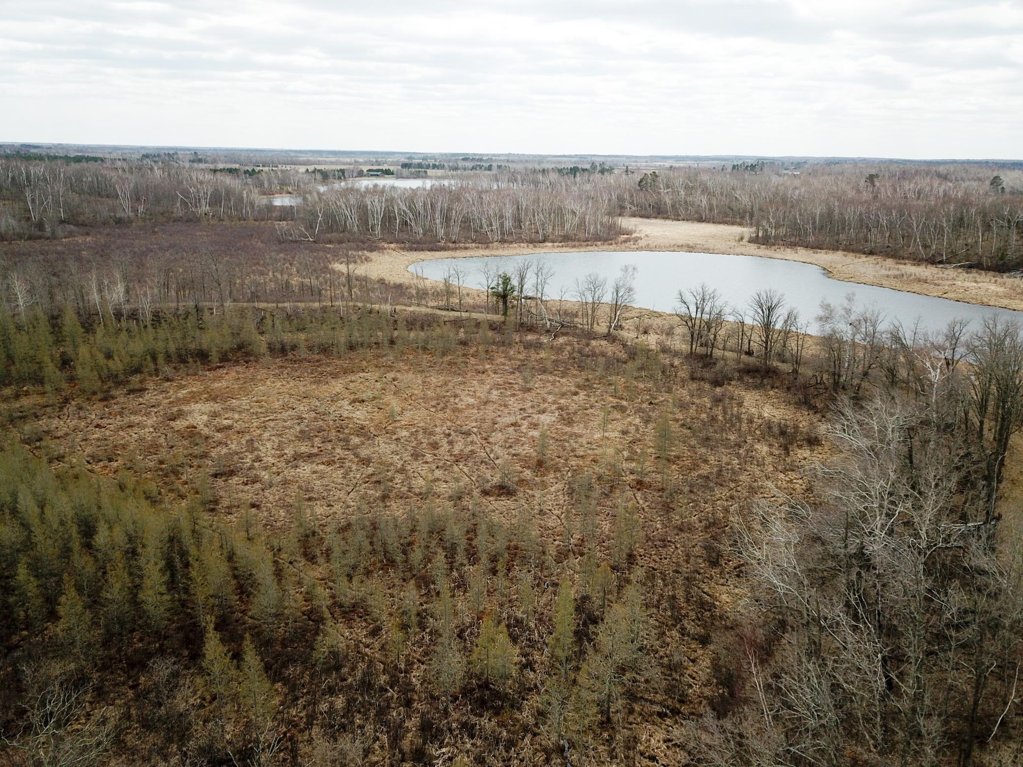 Tbd1 Boot Lake Road Southwest Bemidji, MN 56601 - Photo 10 of 41