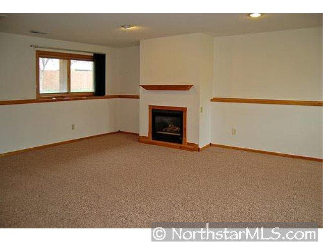 7838 77th Street South Cottage Grove, MN 55016 - Photo 8 of 10