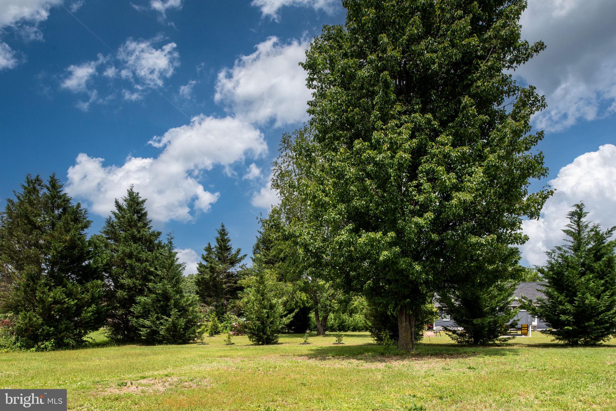 9789 Mohawk Drive King George, VA 22485 - Photo 36 of 58