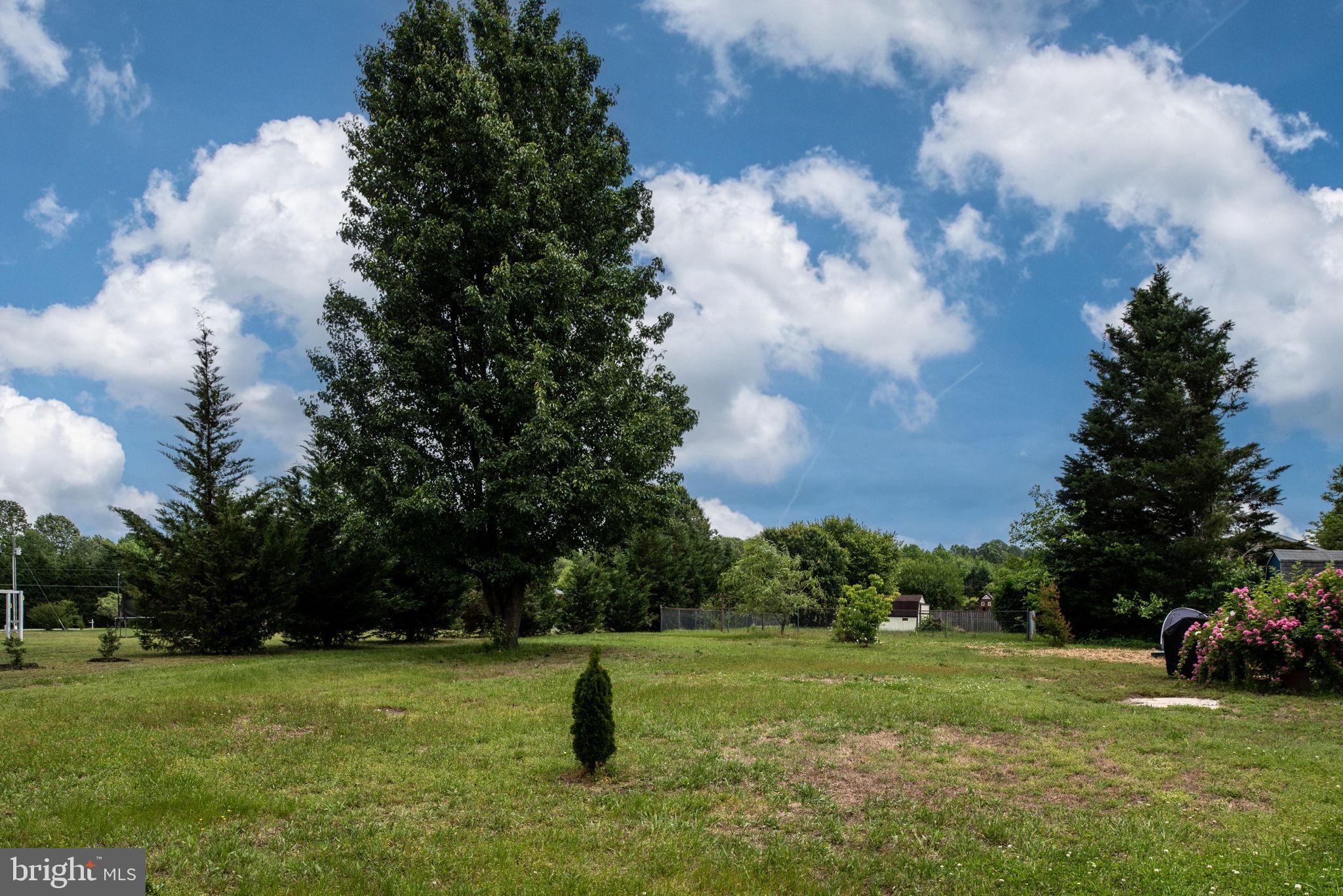 9789 Mohawk Drive King George, VA 22485 - Photo 41 of 58