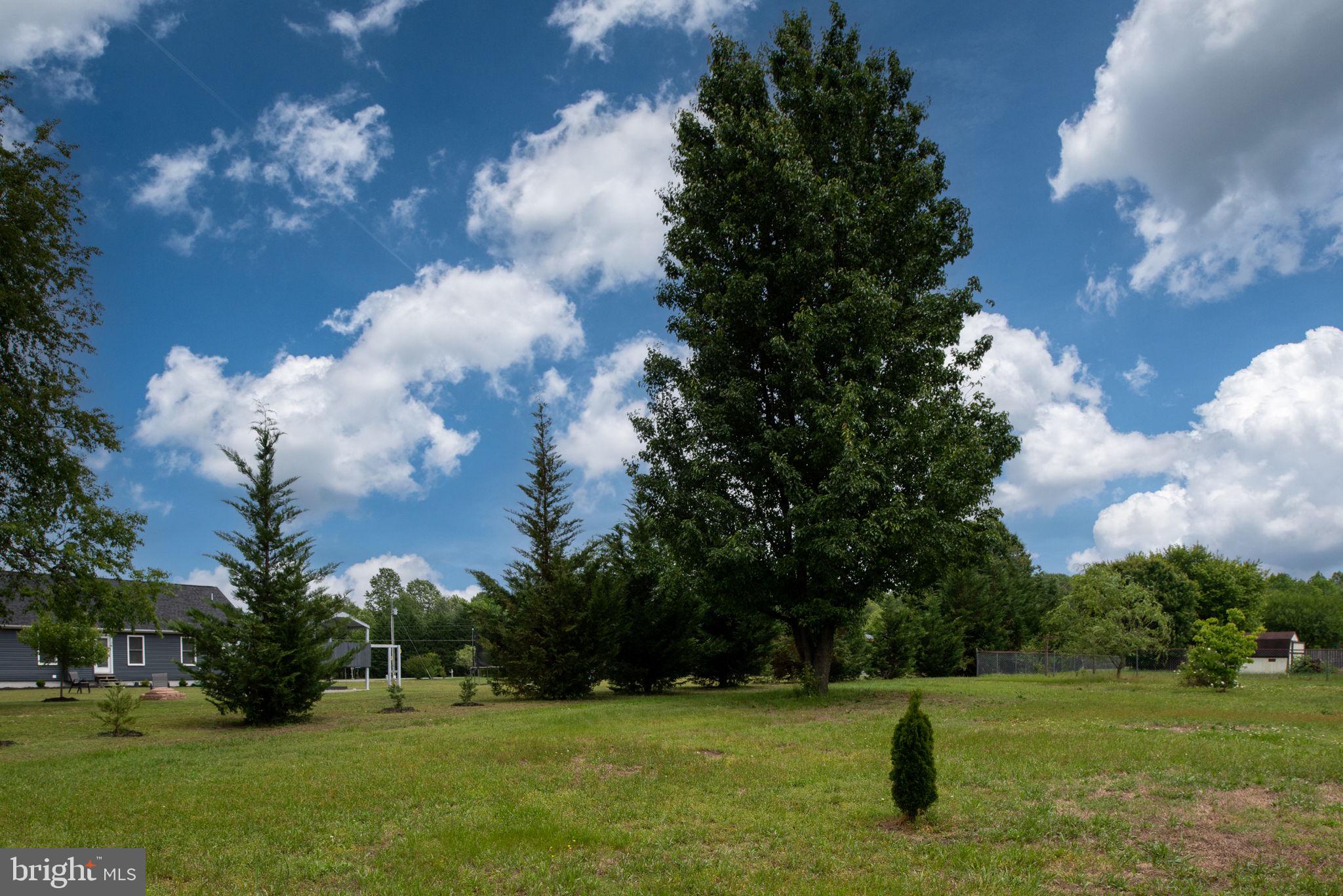 9789 Mohawk Drive King George, VA 22485 - Photo 42 of 58