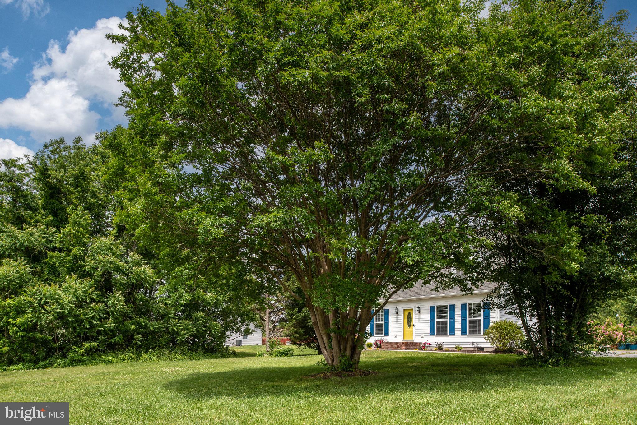 9789 Mohawk Drive King George, VA 22485 - Photo 44 of 58