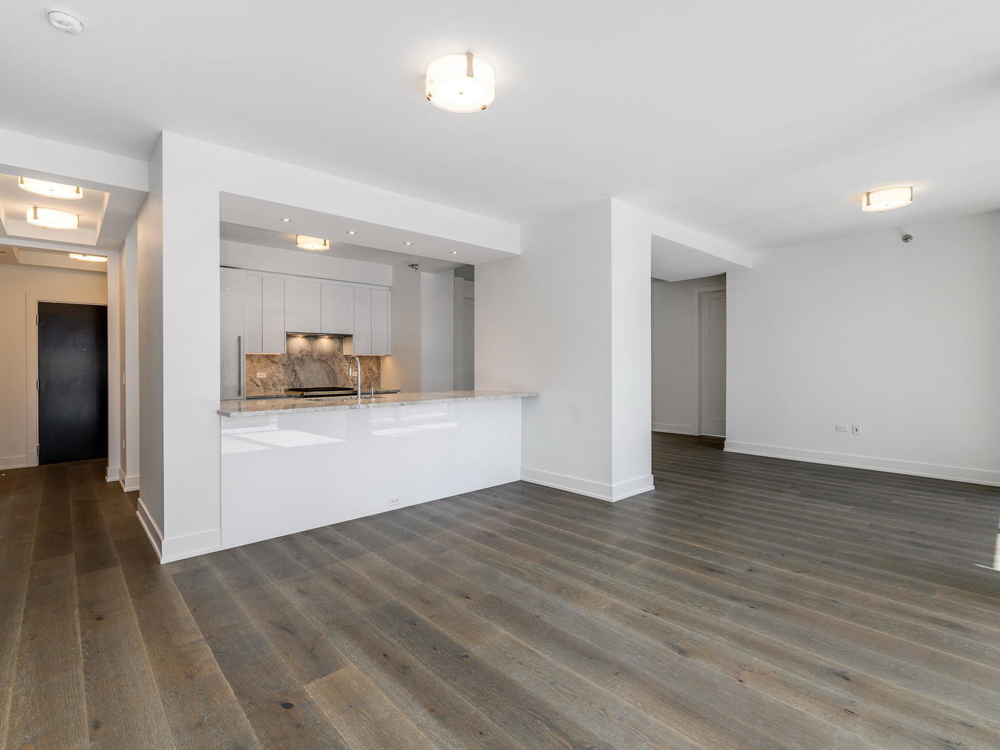 2 West Delaware Place, Unit 130304 Chicago, IL 60610 - Photo 5 of 19 a view of a kitchen cabinets and a wooden floor