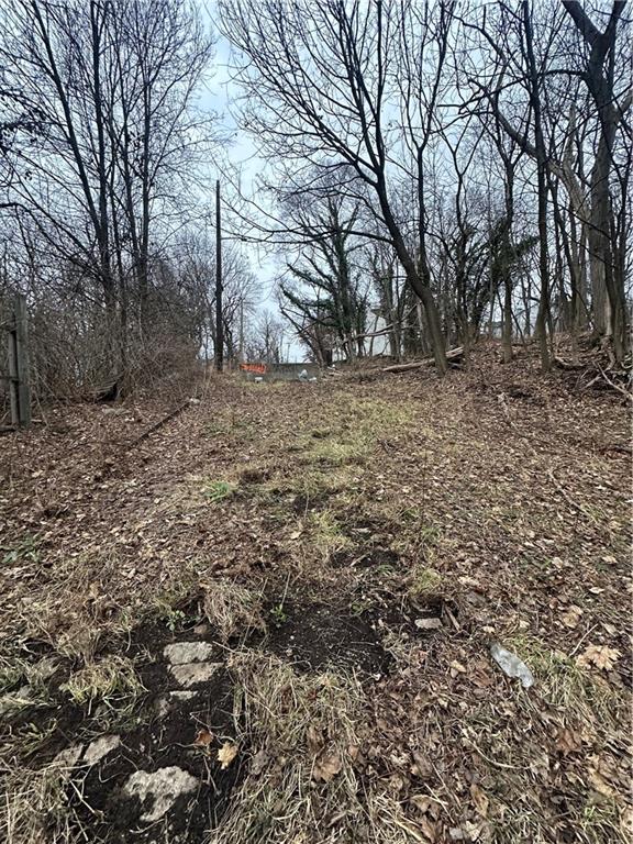 627 Chester Avenue Pittsburgh, PA 15214 - Photo 17 of 19 a view of yard covered with trees