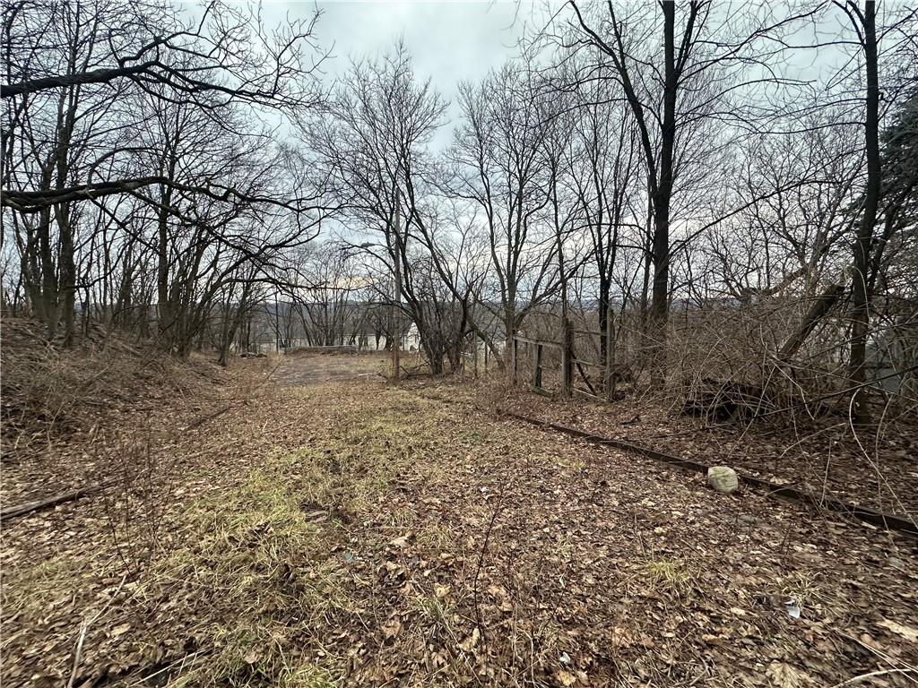 627 Chester Avenue Pittsburgh, PA 15214 - Photo 18 of 19 a backyard of a house with large trees