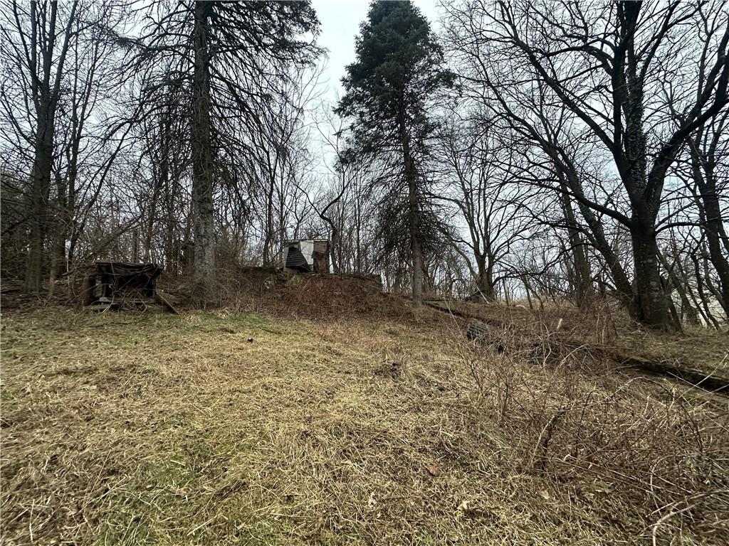 627 Chester Avenue Pittsburgh, PA 15214 - Photo 3 of 19 a backyard of a house with lots of green space