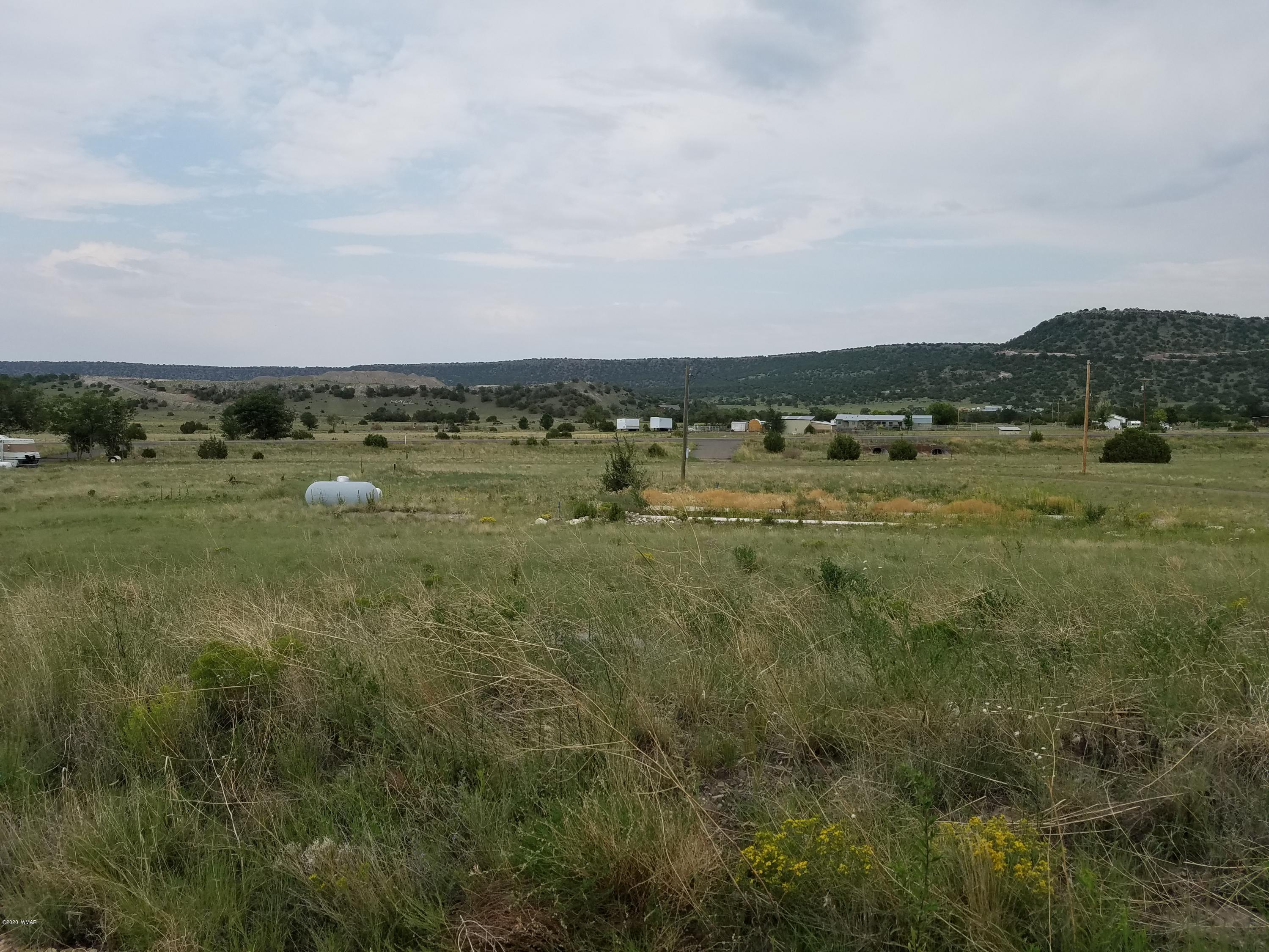 191/180 Springerville Az 85938 Springerville, AZ 85938 - Photo 4 of 5
