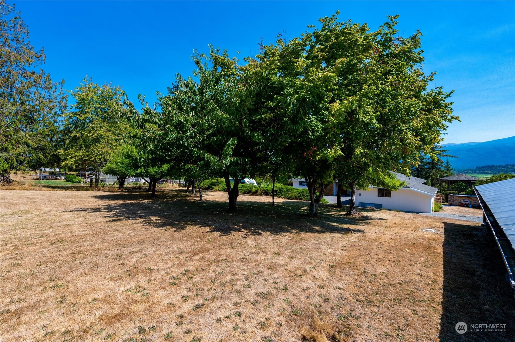 13622 Trumpeter Lane Mount Vernon, WA 98273 - Photo 39 of 40 a view of backyard with green space