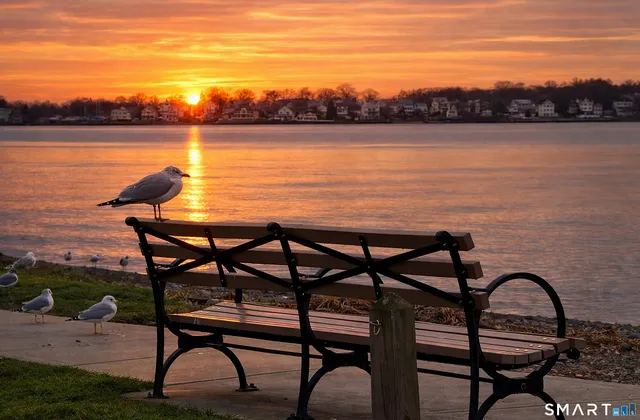 $275,000 | 24 Woodward Avenue, Unit 46, New Haven, CT 06512