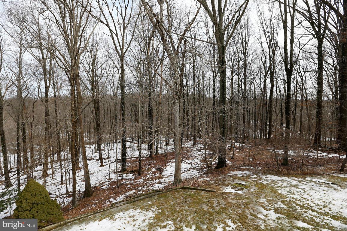 201 Hermleigh Road Silver Spring, MD 20902 - Photo 2 of 26 Beautiful Views of Parkland