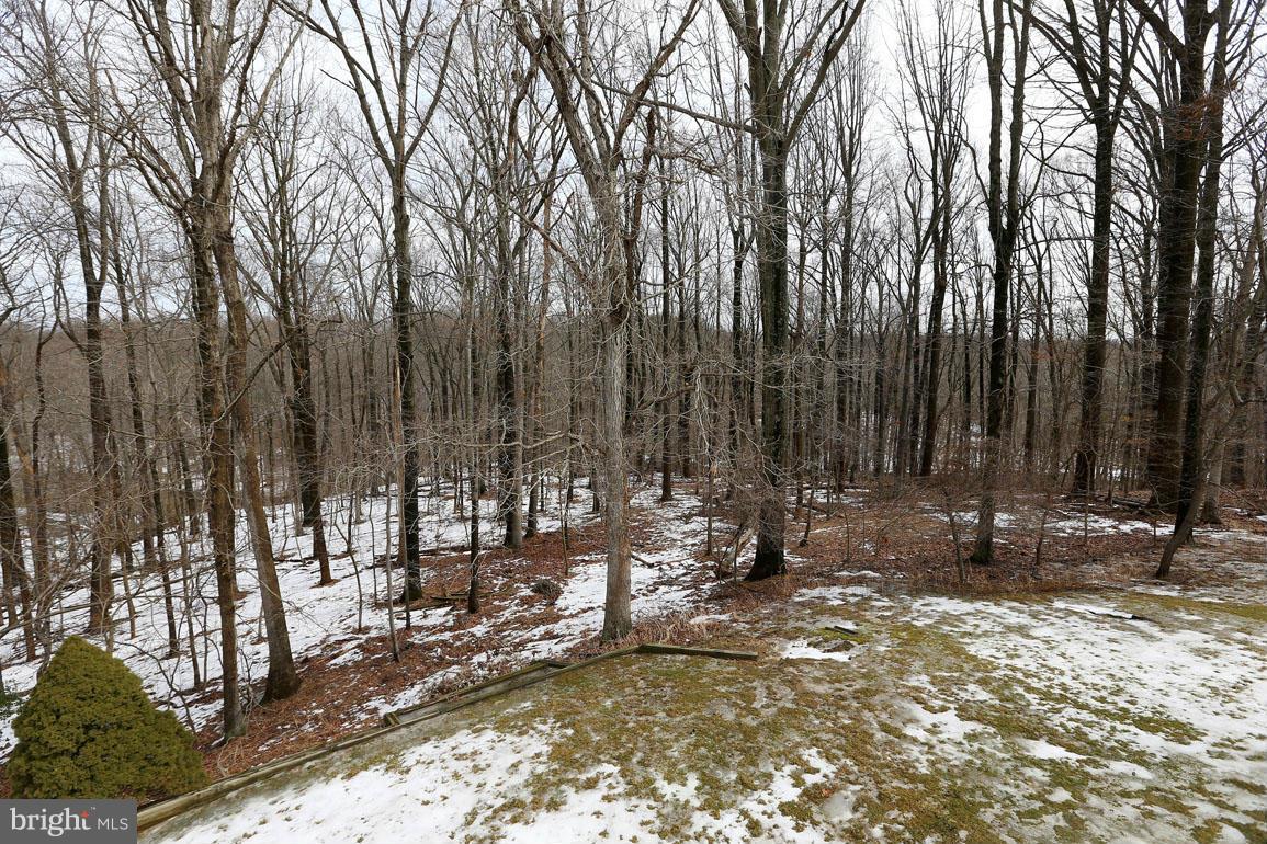 201 Hermleigh Road Silver Spring, MD 20902 - Photo 25 of 26 Beautiful Views of Parkland