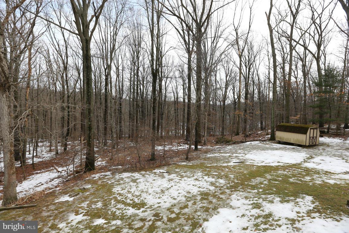 201 Hermleigh Road Silver Spring, MD 20902 - Photo 26 of 26 Rear Yard with Storage Shed