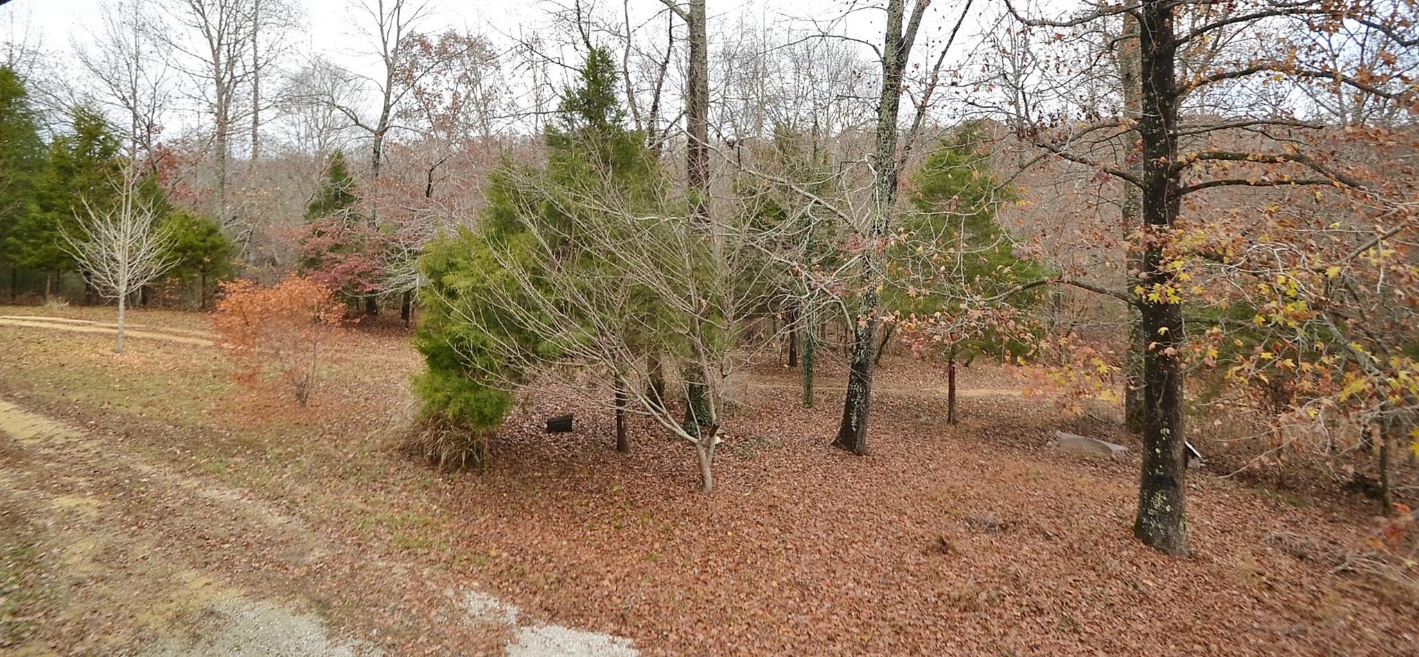 1086 Fairview Church Road Iron City, TN 38463 - Photo 8 of 26 Gallery Image 8