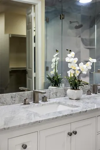 a bathroom with a granite countertop sink a potted plant and a shower