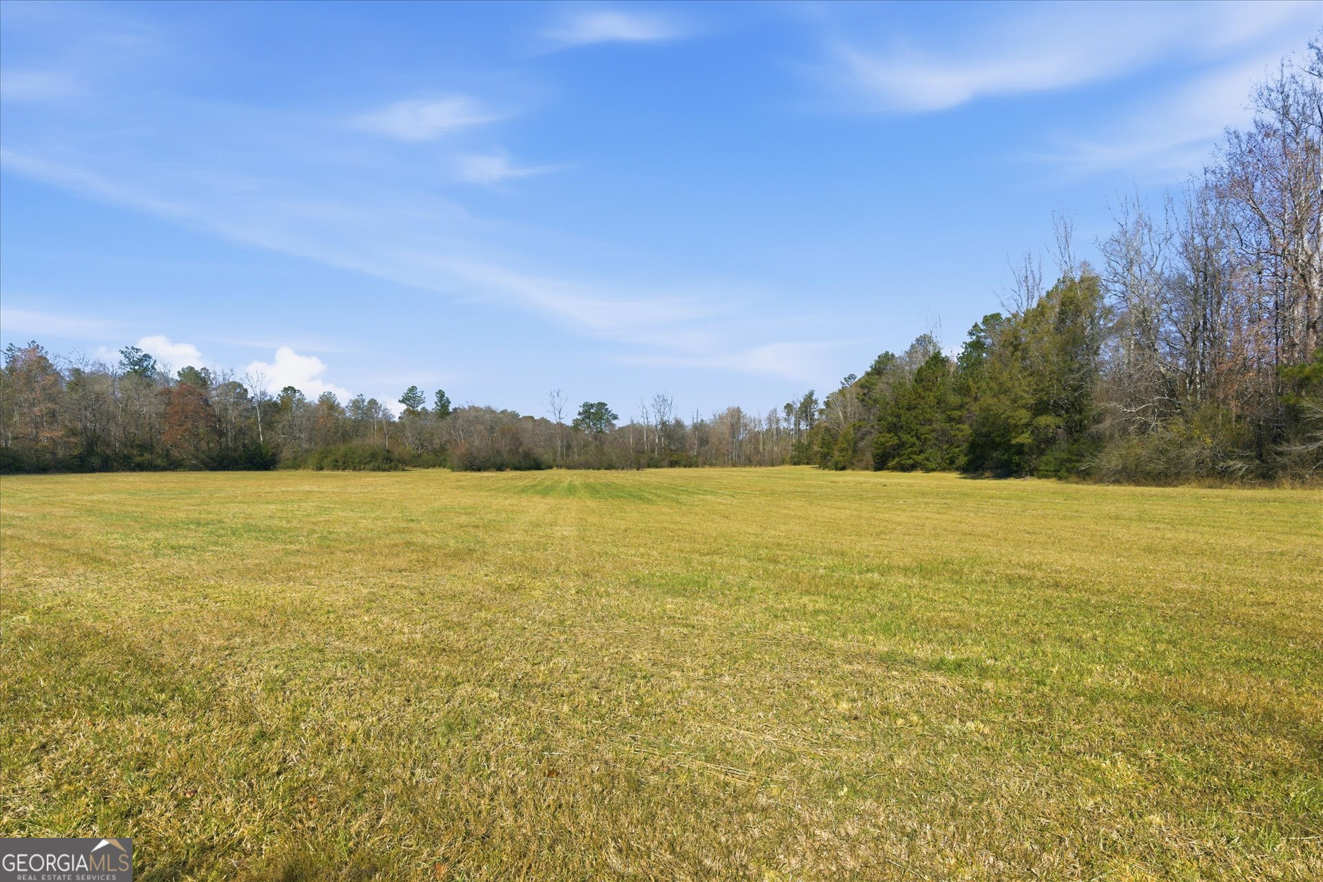 0 County Road 84 Heflin, AL 36264 - Photo 16 of 20 a view of an ocean and beach