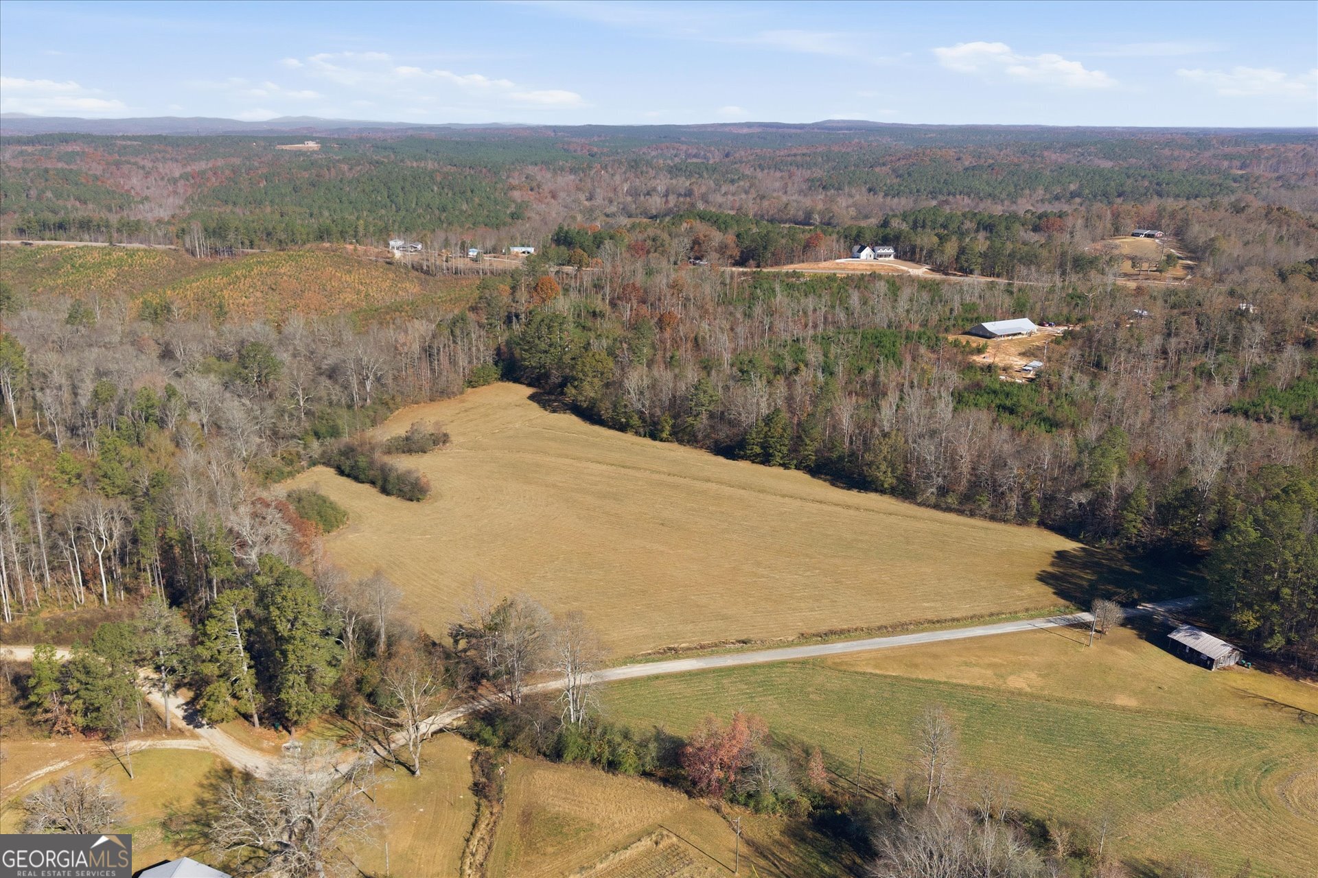 0 County Road 84 Heflin, AL 36264 - Photo 3 of 20