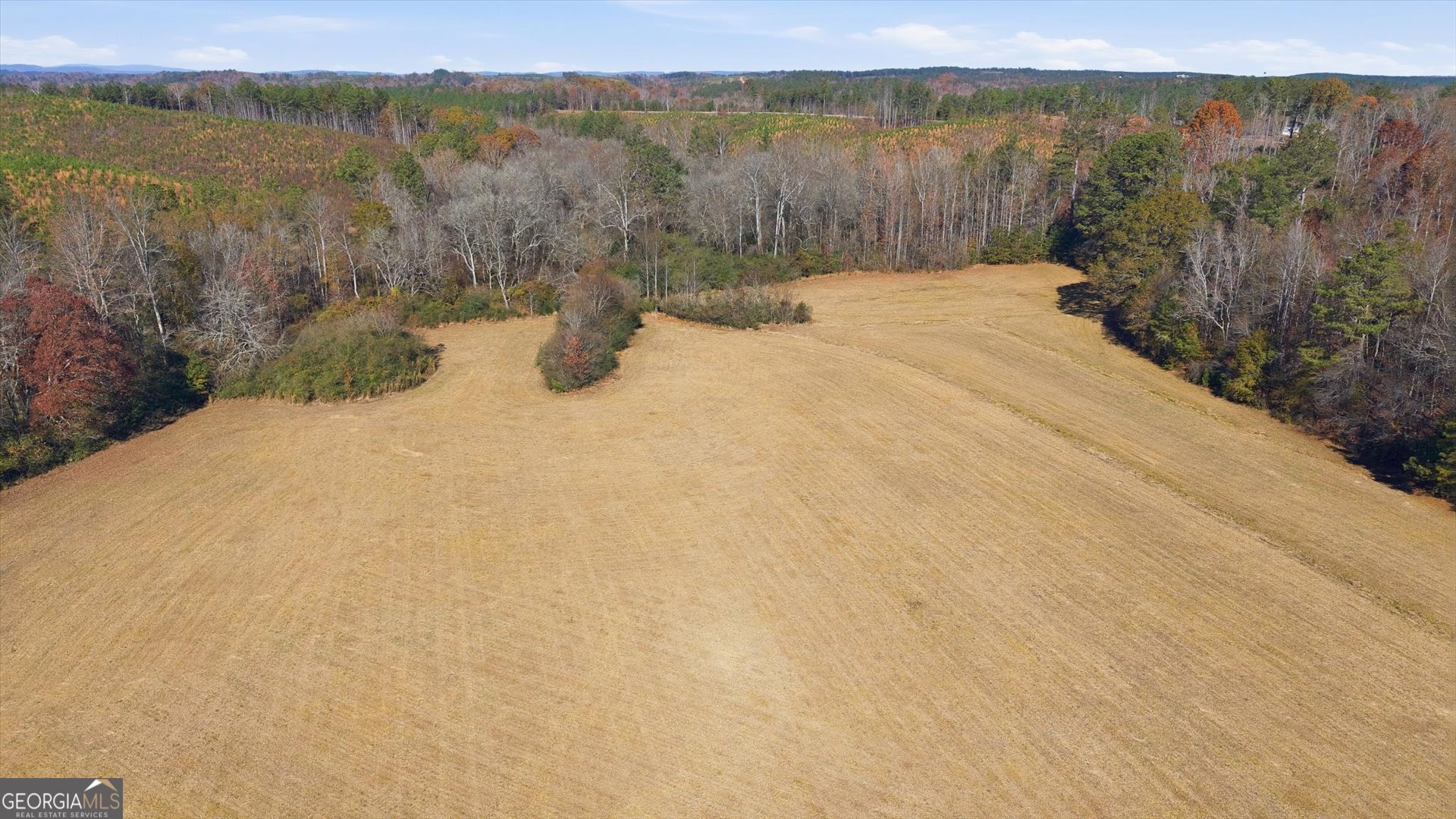 0 County Road 84 Heflin, AL 36264 - Photo 5 of 20 a view of lake with mountain