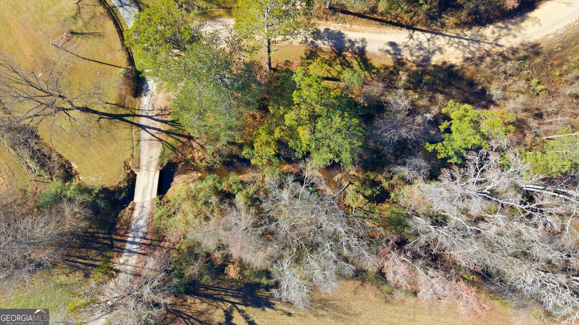 0 County Road 84 Heflin, AL 36264 - Photo 6 of 20 a backyard of a house with lots of plants and trees
