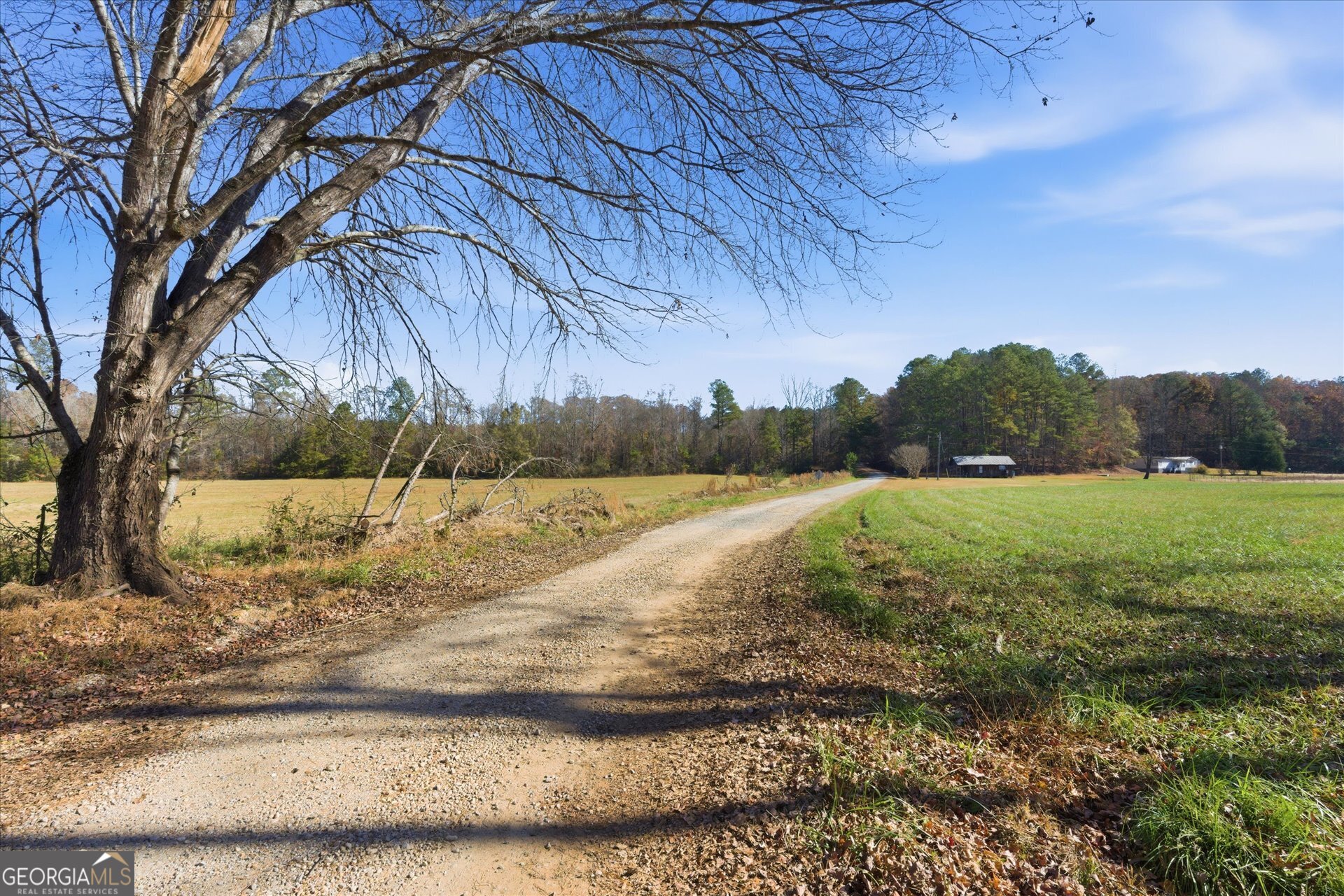 0 County Road 84 Heflin, AL 36264 - Photo 8 of 20 a view of lake with green space