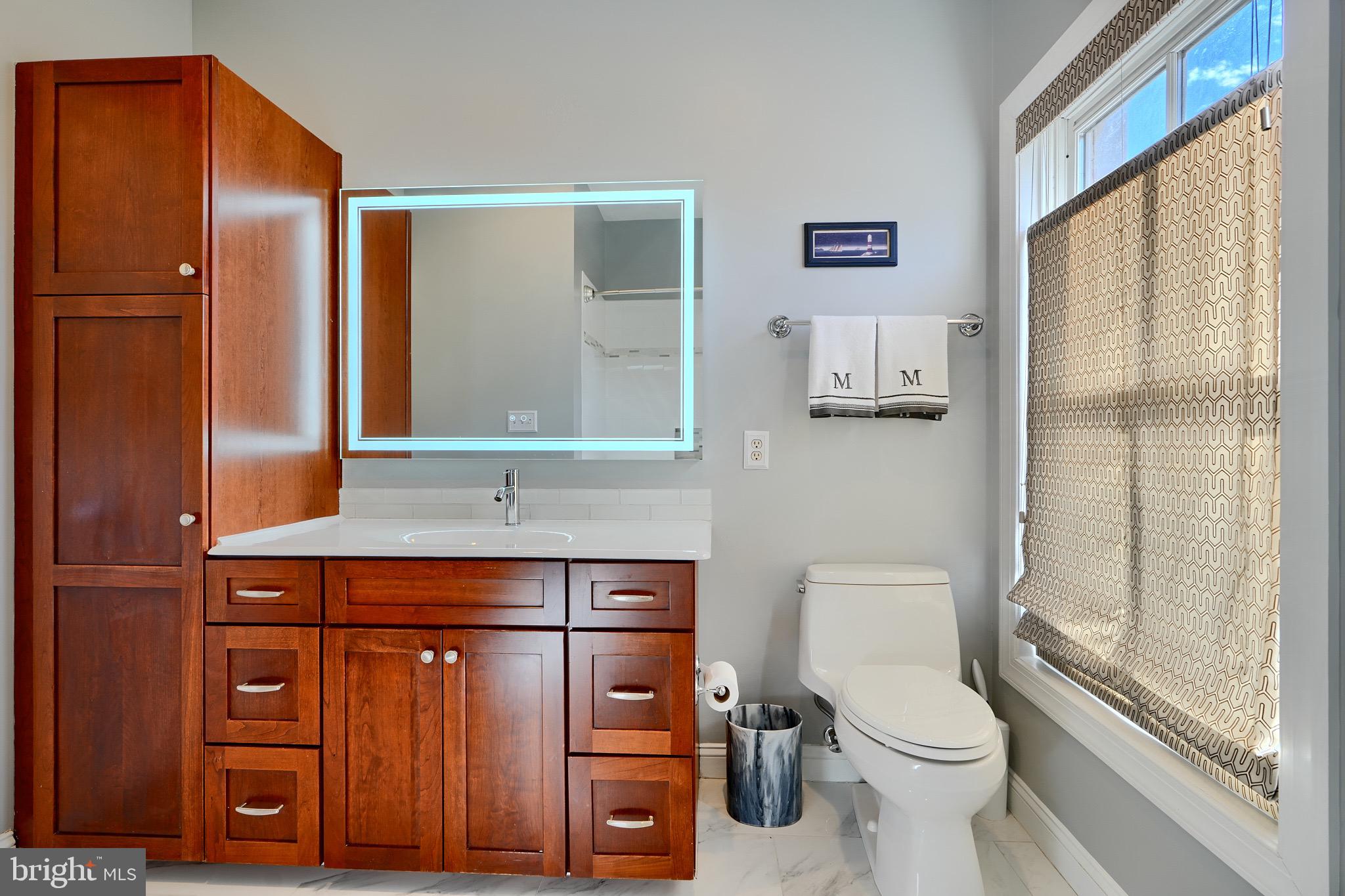 1221 Dockside Circle Baltimore, MD 21224 - Photo 39 of 57 a bathroom with a toilet a sink and mirror