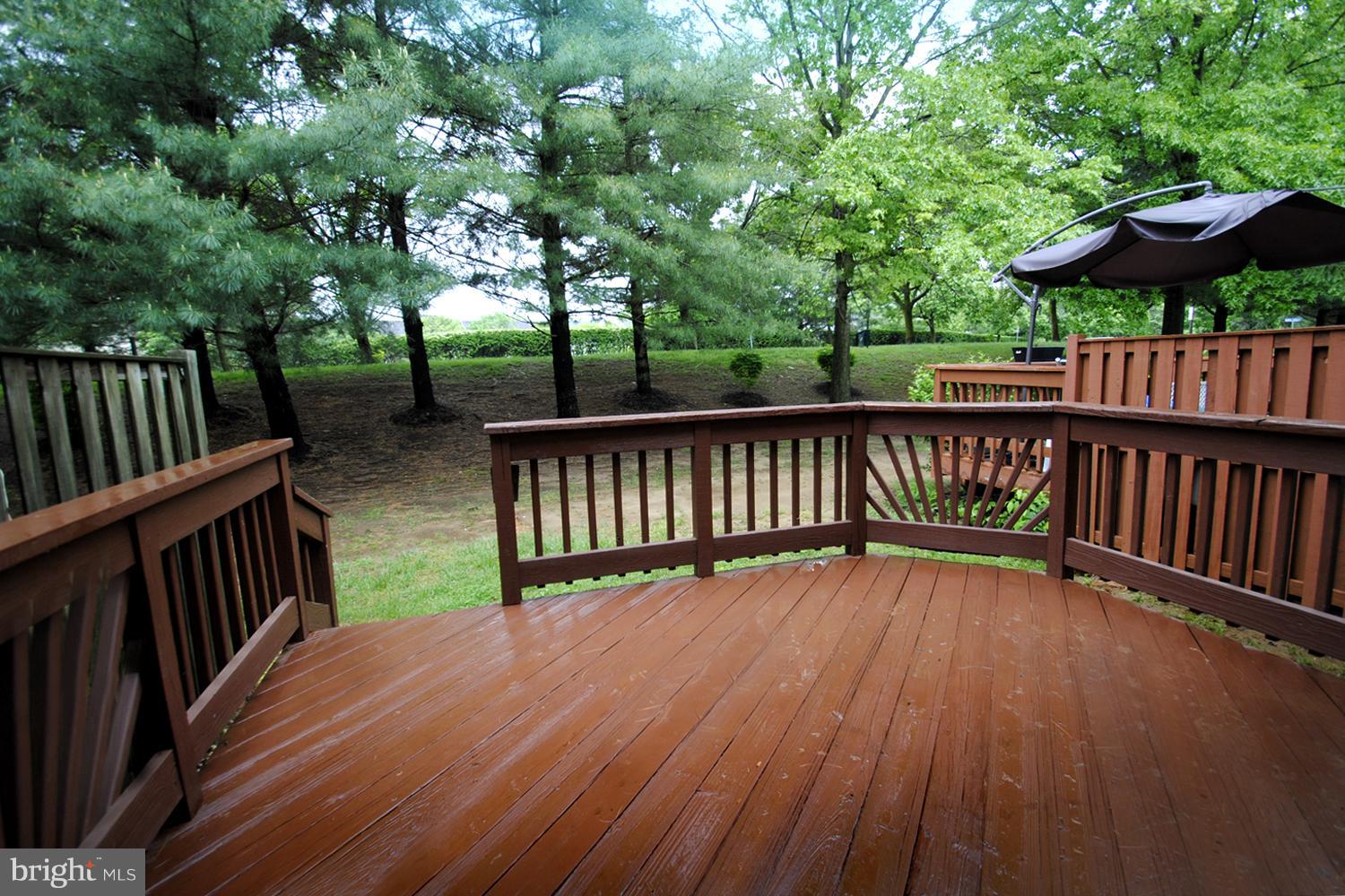 579 Quaker Ridge Court Arnold, MD 21012 - Photo 3 of 30 Rear Open Green Space Backing to Tall Shade Trees