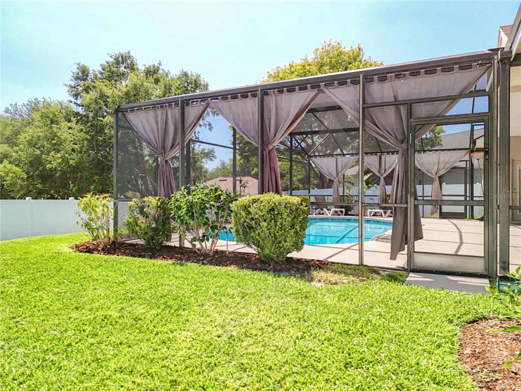 13319 Via Roma Circle Clermont, FL 34711 - Photo 30 of 44 a view of a backyard with plants