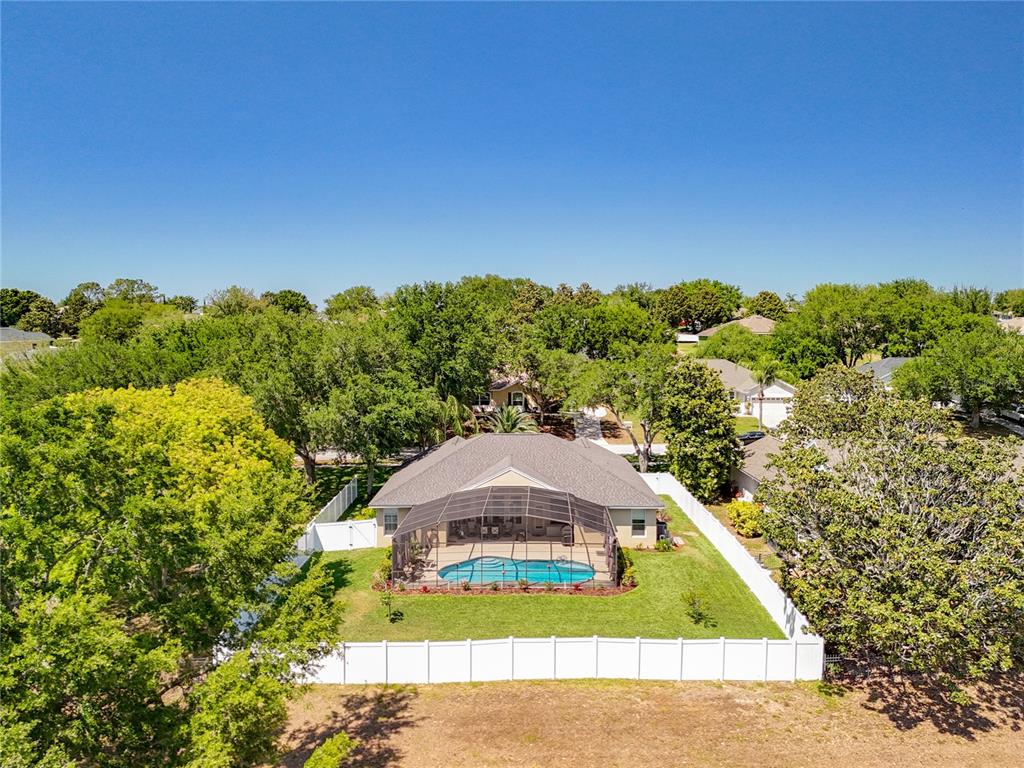 13319 Via Roma Circle Clermont, FL 34711 - Photo 33 of 44 a view of a back yard of the house