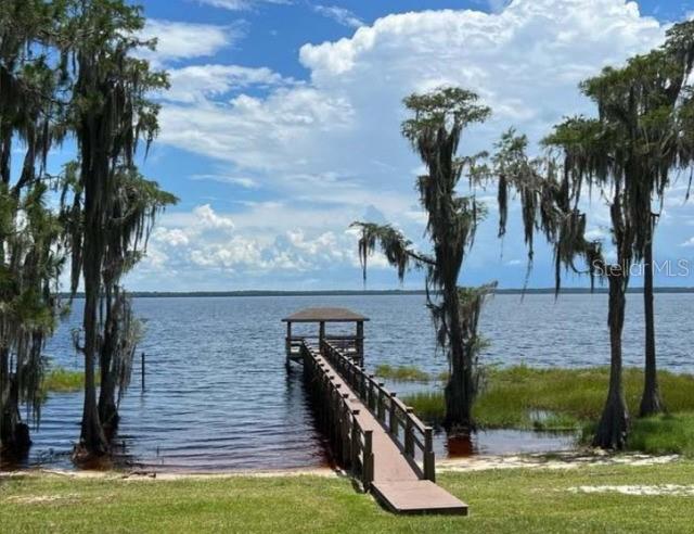 13319 Via Roma Circle Clermont, FL 34711 - Photo 38 of 44 a view of a garden with palm trees