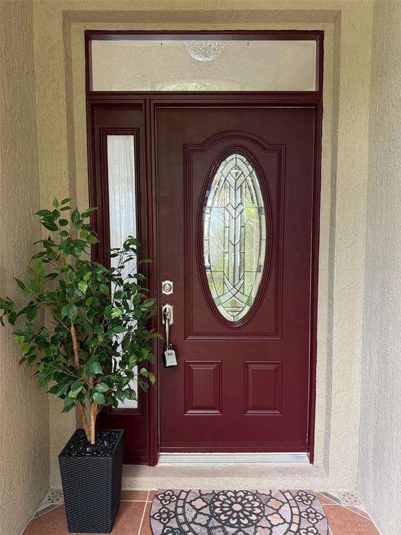 13319 Via Roma Circle Clermont, FL 34711 - Photo 5 of 44 a potted plant sitting in front of a door