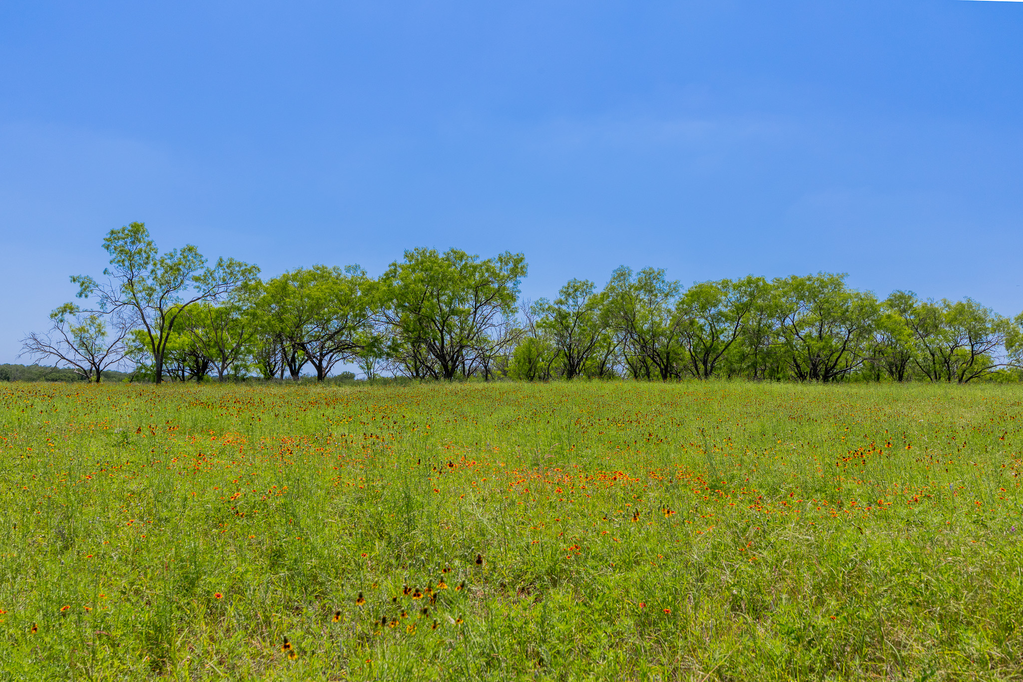 180 Rd Purmela Tx 76566 Road Purmela, TX 76566 - Photo 10 of 32 Gallery Image 10