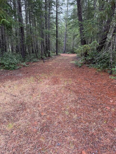 Lone Mountain Road, Unit 1300 Cave Junction, OR 97523 - Photo 4 of 15 Conifers, madrone, deciduous trees galore.