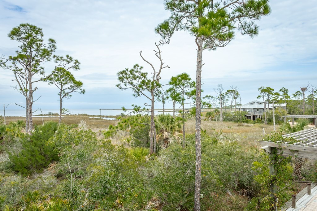1723 Kingfisher Road Eastpoint, FL 32328 - Photo 41 of 63