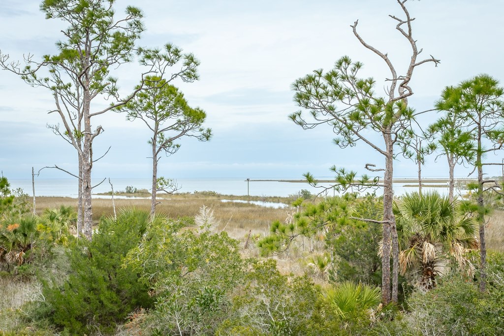 1723 Kingfisher Road Eastpoint, FL 32328 - Photo 48 of 63