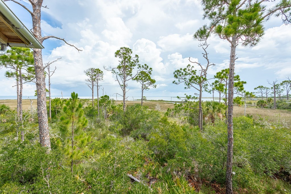1723 Kingfisher Road Eastpoint, FL 32328 - Photo 53 of 63