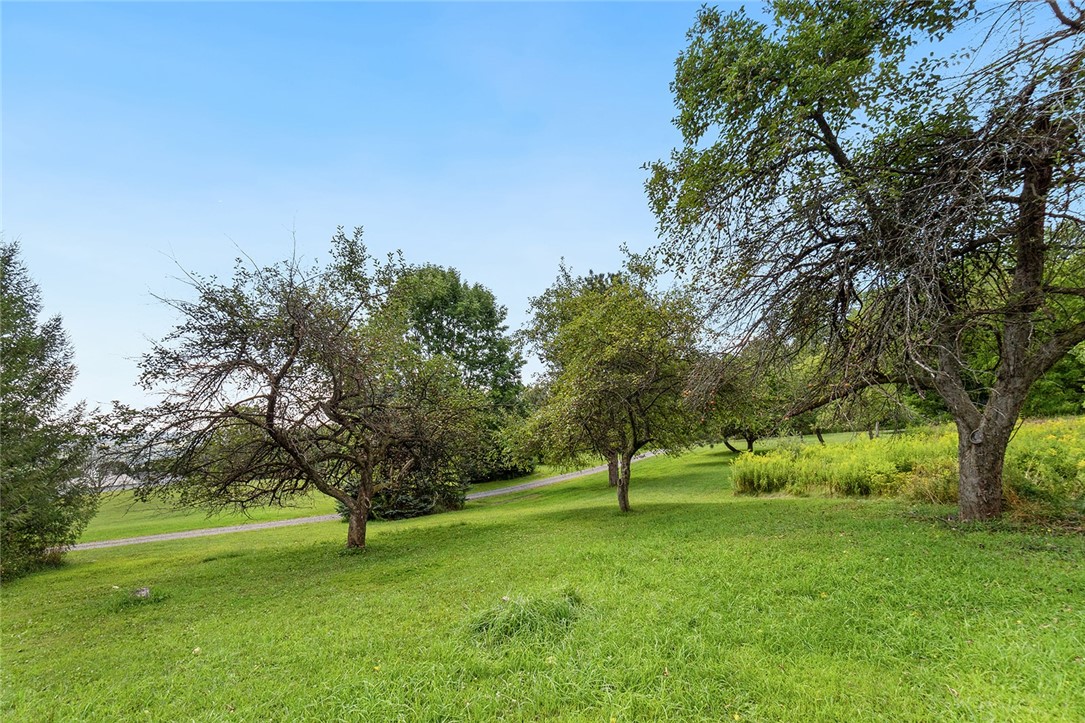 2531 Ayers Road Jerusalem, NY 14527 - Photo 31 of 32