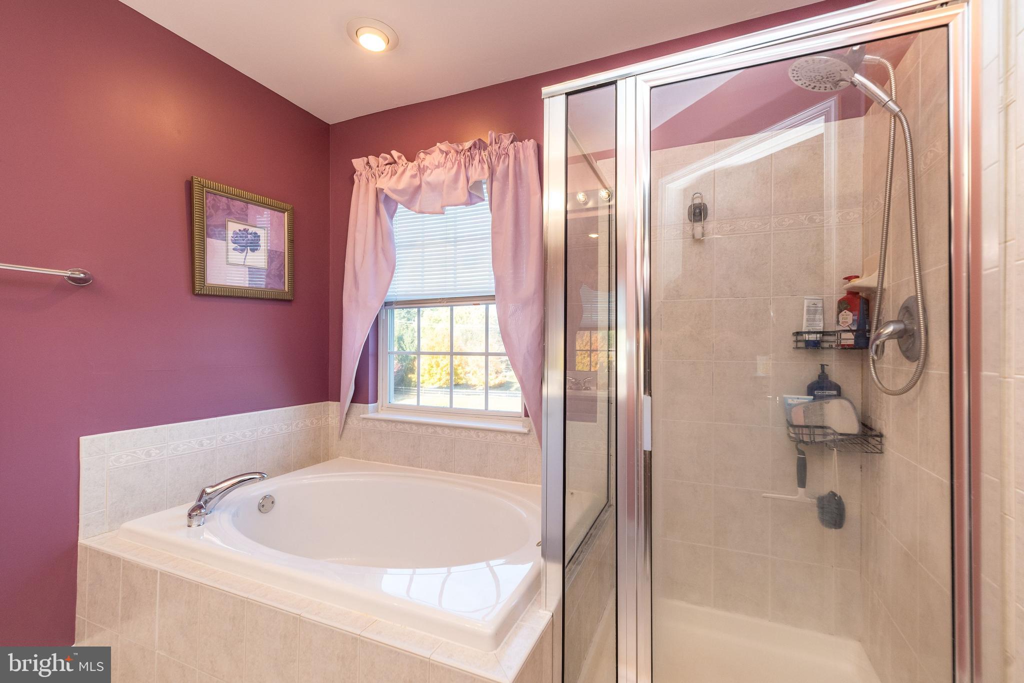 44 Dare Lane Pottstown, PA 19465 - Photo 43 of 52 Primary Soaking Tub & Shower