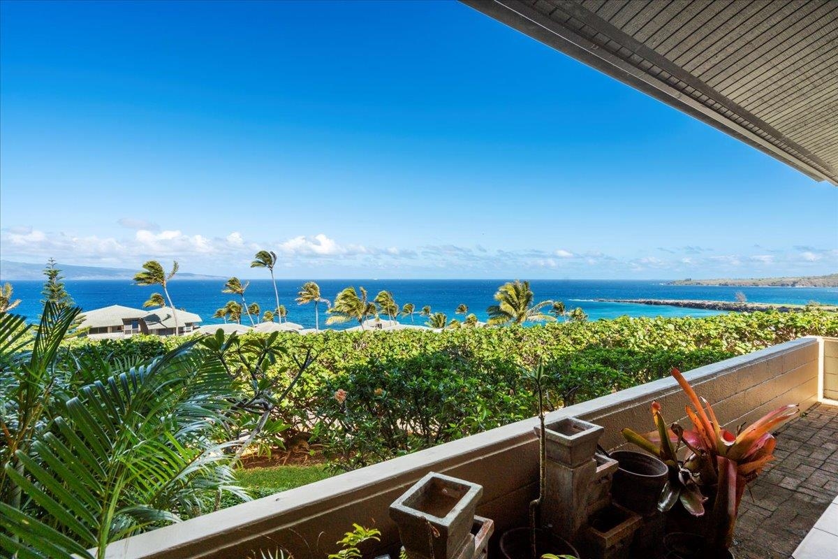 100 Ridge Road, Unit 2915 Lahaina, HI 96761 - Photo 17 of 43 a view of a yard with wooden fence