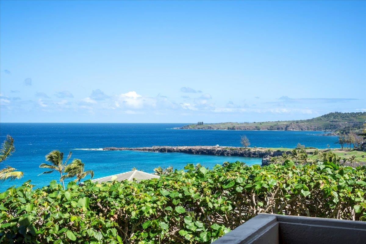 100 Ridge Road, Unit 2915 Lahaina, HI 96761 - Photo 18 of 43 a view of a pathway with a field