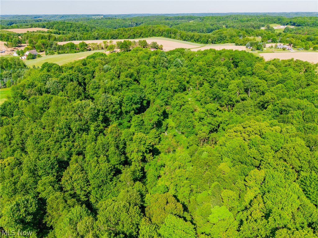 Ridge Road Minerva, OH 44657 - Photo 40 of 49