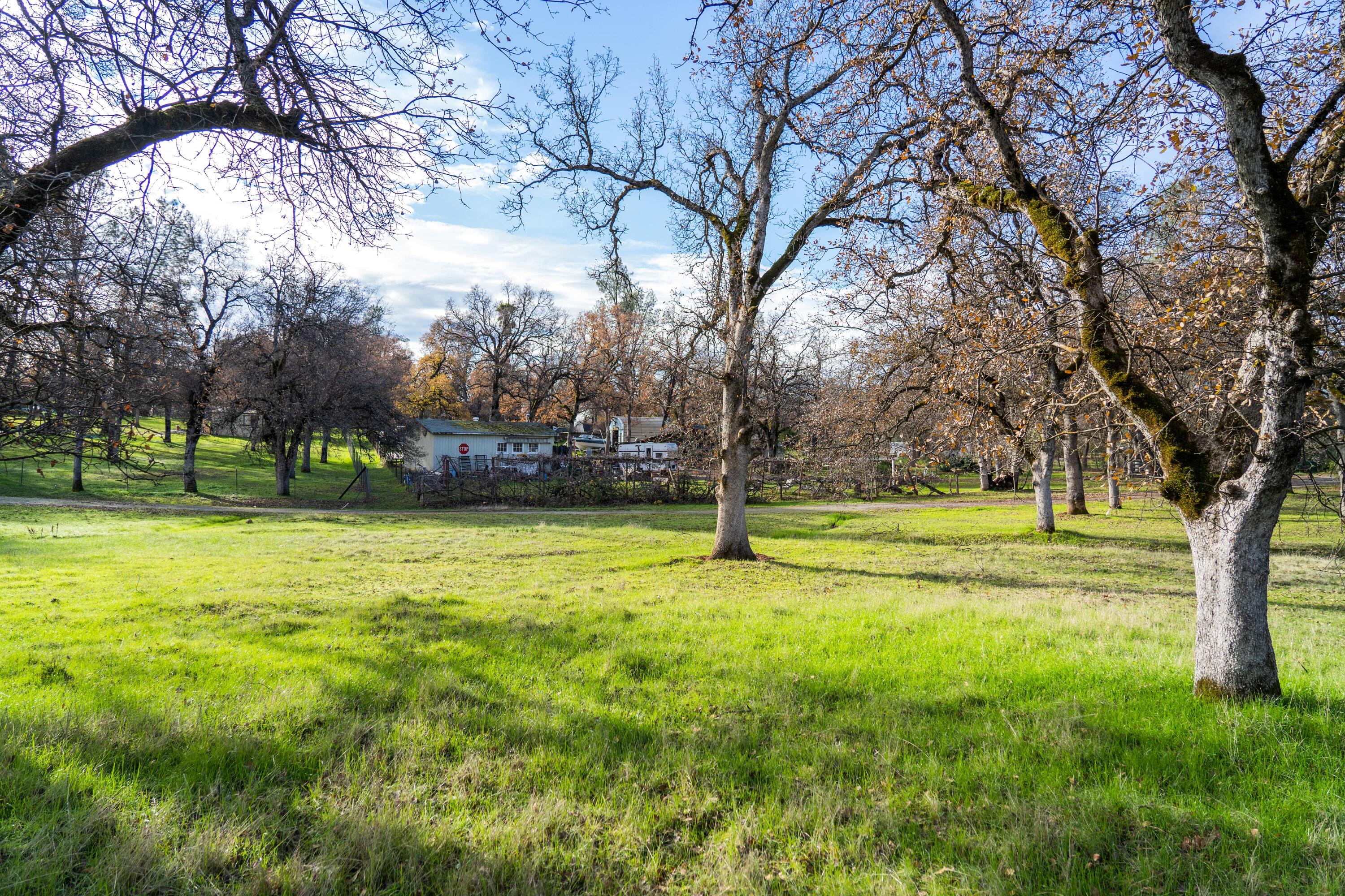 9397 Placer Road Redding, CA 96001 - Photo 4 of 14 HARRISONM-2